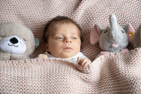 neugeborenes im bett mit kuscheltieren